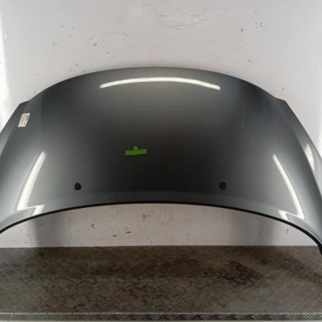 Capot PEUGEOT 207 Photo n°1