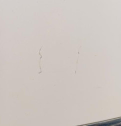 Malle/Hayon arriere CITROEN C3 PICASSO