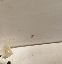 Attache ceinture avant gauche TOYOTA RAV4 4 Photo n°3