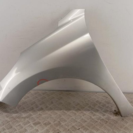 Aile avant gauche PEUGEOT 207 Photo n°1