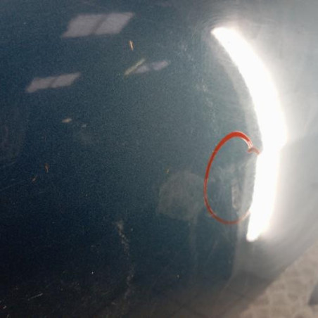 Porte arriere gauche SKODA FABIA 1