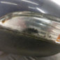Retroviseur gauche FORD FIESTA 6