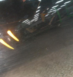 Porte arriere gauche LAND ROVER FREELANDER 1 Photo n°1