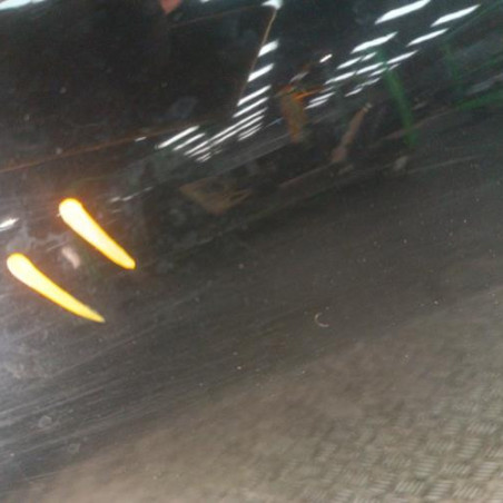 Porte arriere gauche LAND ROVER FREELANDER 1 Photo n°1