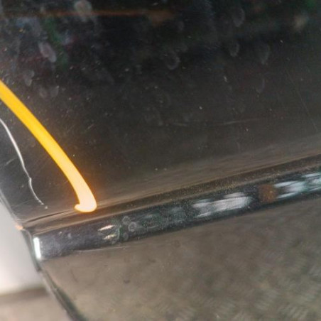 Porte arriere gauche LAND ROVER FREELANDER 1