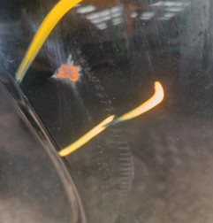 Porte de coffre droit LAND ROVER FREELANDER 1