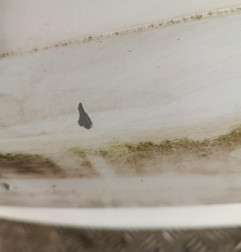 Pare choc avant PEUGEOT 406 Photo n°5