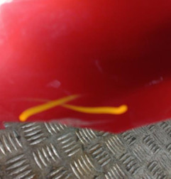 Aile avant gauche RENAULT CLIO 2