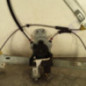 Leve vitre electrique avant droit CITROEN C5 2