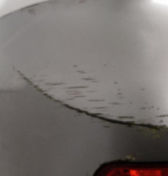 Pare choc arriere RENAULT CLIO 3 Photo n°7