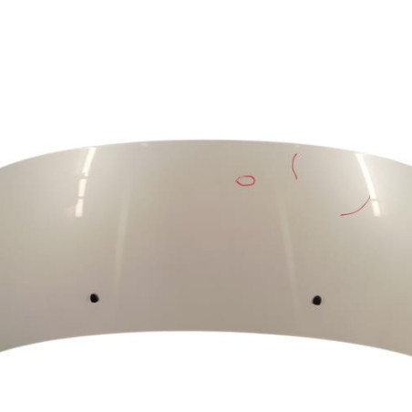 Capot PEUGEOT 3008 1 Photo n°1