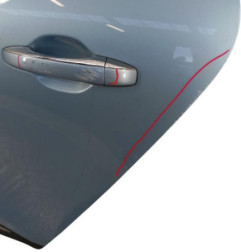 Porte arriere gauche RENAULT GRAND SCENIC 4