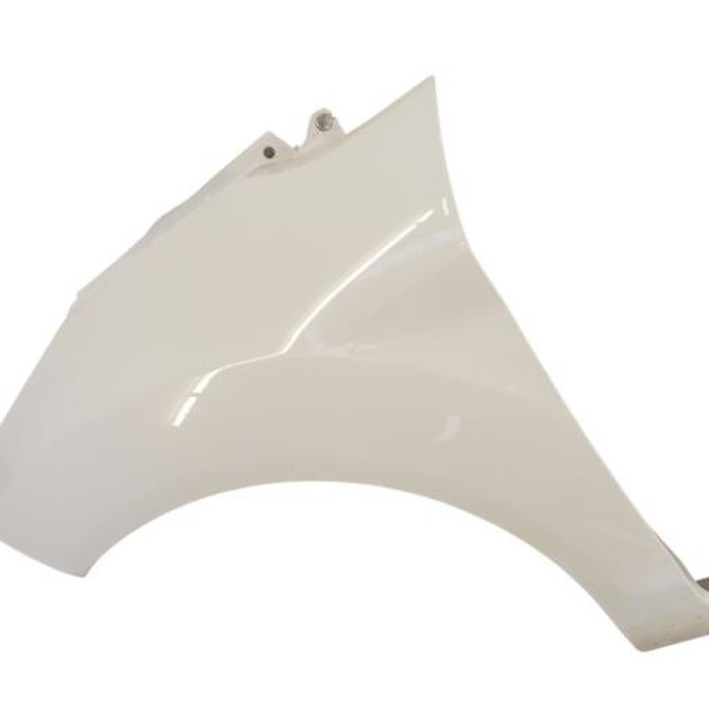 Aile avant gauche FORD FIESTA 6