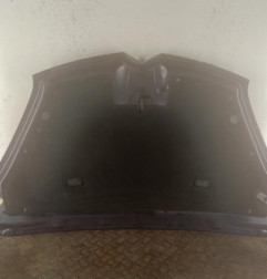 Capot CITROEN C4 PICASSO 1