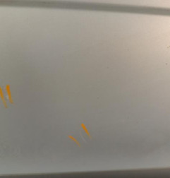 Porte avant droit RENAULT SCENIC 1