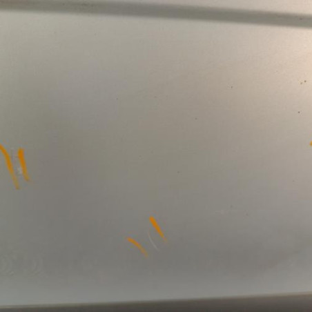 Porte avant droit RENAULT SCENIC 1