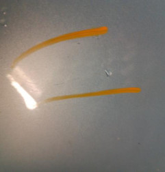 Pare choc avant SEAT LEON 2 Photo n°6