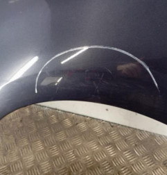 Aile avant gauche CITROEN C4 PICASSO 1