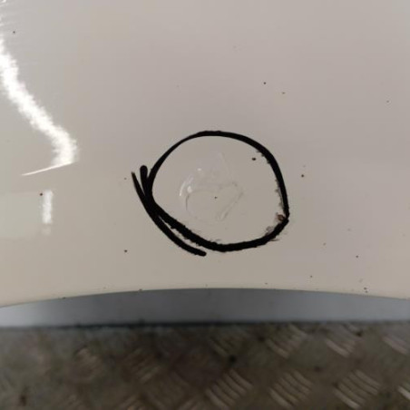 Aile avant droit PEUGEOT 1007