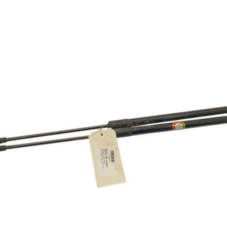 Verin de coffre RENAULT GRAND SCENIC 4 Photo n°1