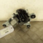 Moteur essuie glace arriere HYUNDAI I 10 3