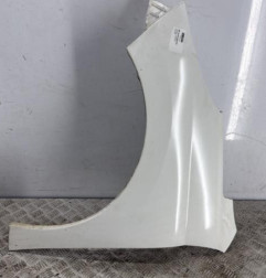 Aile avant gauche PEUGEOT 207 Photo n°1