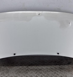 Capot FIAT SCUDO 1 Photo n°1