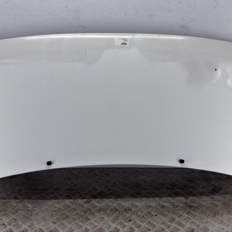 Capot FIAT SCUDO 1 Photo n°1