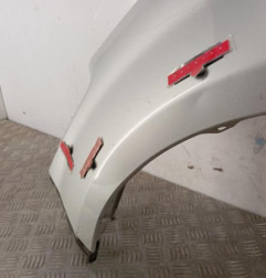 Aile avant gauche DACIA SANDERO 1