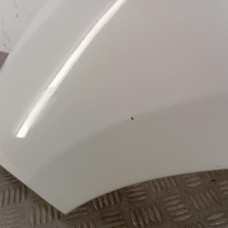 Aile avant gauche RENAULT MEGANE 3