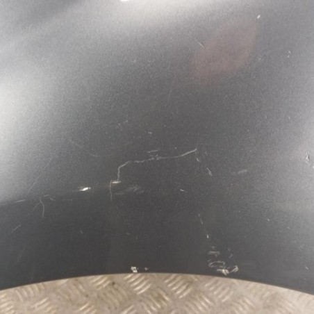 Aile avant gauche PEUGEOT 207