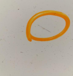 Porte avant droit PEUGEOT 308 2 Photo n°3