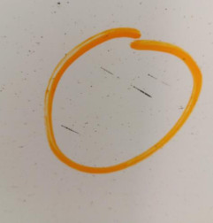 Porte avant droit PEUGEOT 308 2 Photo n°4