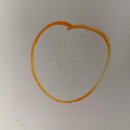 Capot RENAULT CLIO 2