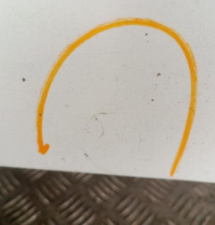 Capot RENAULT CLIO 2 Photo n°3