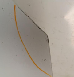 Capot RENAULT CLIO 2 Photo n°4