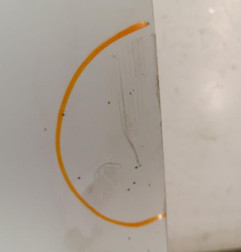 Capot RENAULT CLIO 2 Photo n°5