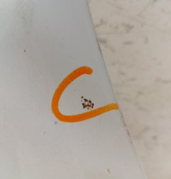 Aile avant gauche PEUGEOT 106 Photo n°6