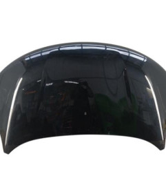 Capot DACIA SPRING Photo n°1