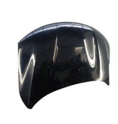 Capot DACIA SPRING Photo n°3