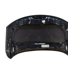 Capot DACIA SPRING Photo n°4