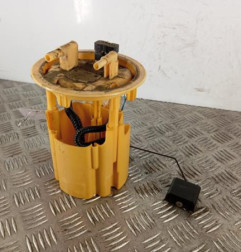 Pompe de gavage PEUGEOT 307 Photo n°1