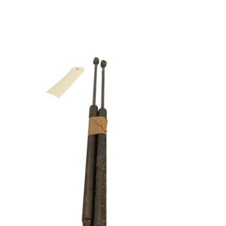 Verin de coffre FORD FIESTA 6 Photo n°1