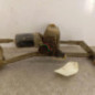 Moteur essuie glace avant PEUGEOT 206