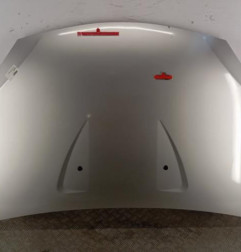 Capot DACIA SANDERO 1 Photo n°1