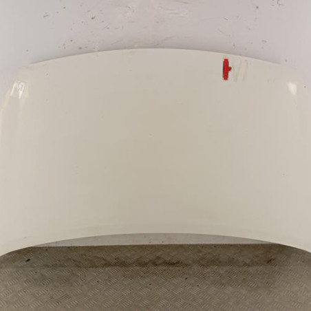 Capot PEUGEOT PARTNER 2 Photo n°1