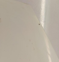 Capot PEUGEOT PARTNER 2 Photo n°3