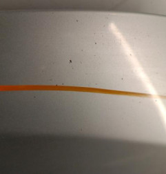 Capot RENAULT MEGANE 3 Photo n°3