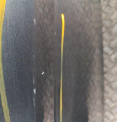 Porte avant droit FORD FIESTA 6