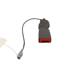 Attache ceinture arriere droit DACIA SPRING Photo n°1